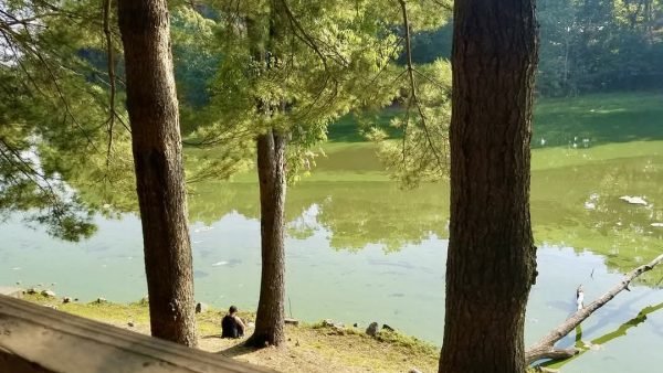 Kountry Resort Glamping in Ohio person sitting on the shore, looking over the water under trees.